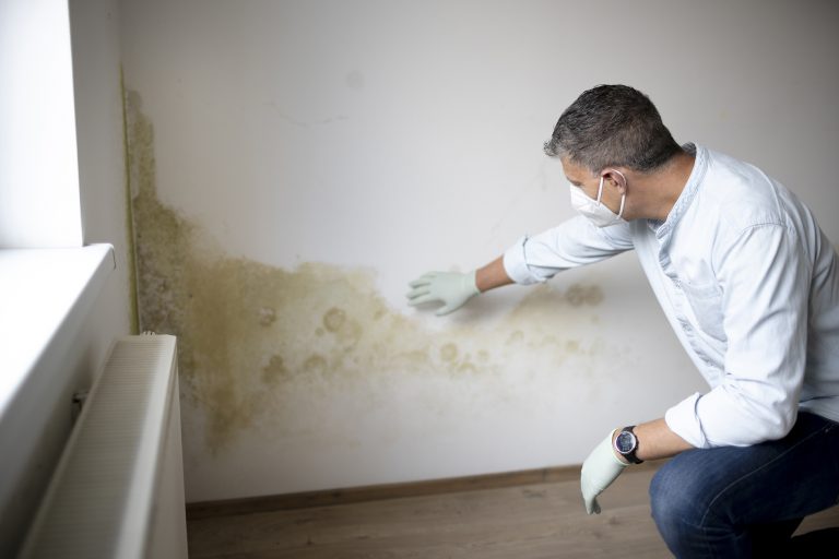 rising damp Berkshire